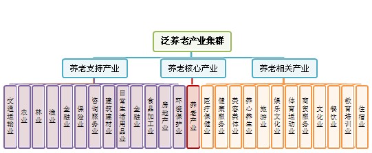 泛养老产业集群引导的区域综合开发新模式――充分利用民间资本发展养老产业