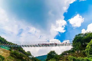 木兰天池热烈祝贺黄陂旅游发展委员会正式挂牌